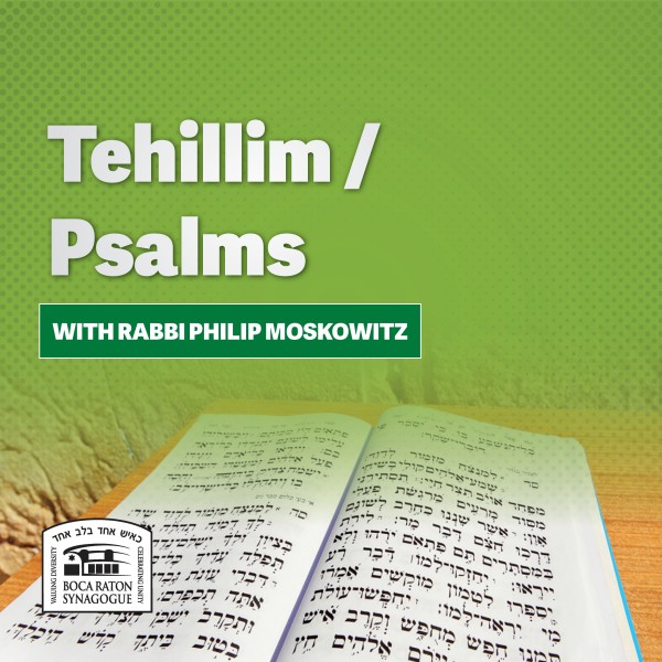 Tehillim / Psalms