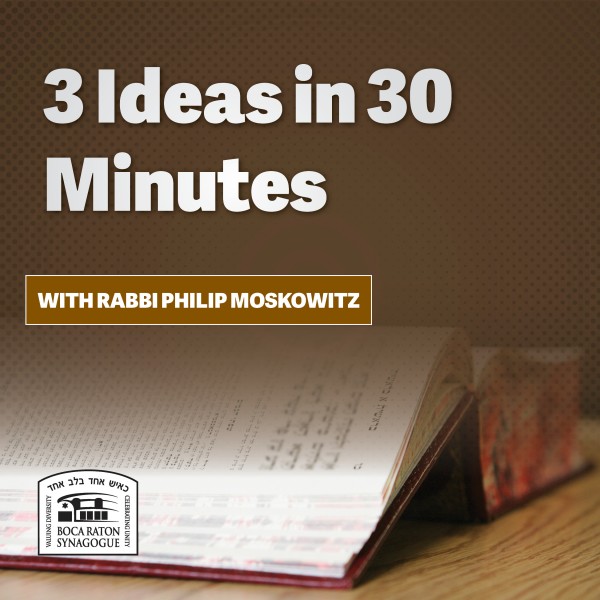 3 Ideas in 30 Minutes